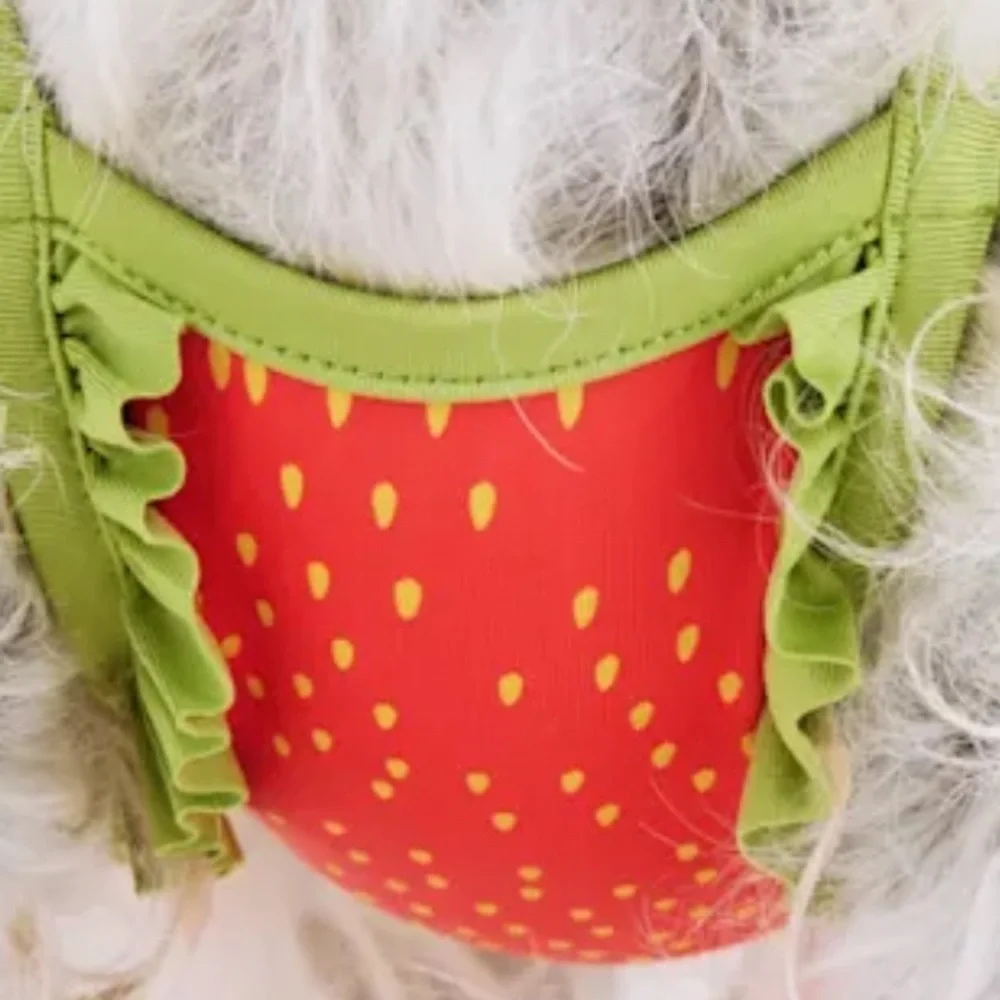 NWT strawberry dog swim bathing suit XS
